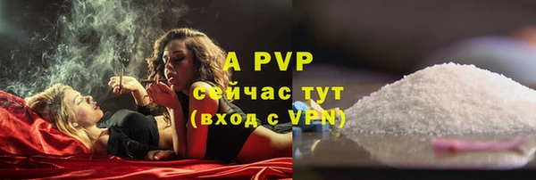 PSILOCYBIN Новодвинск
