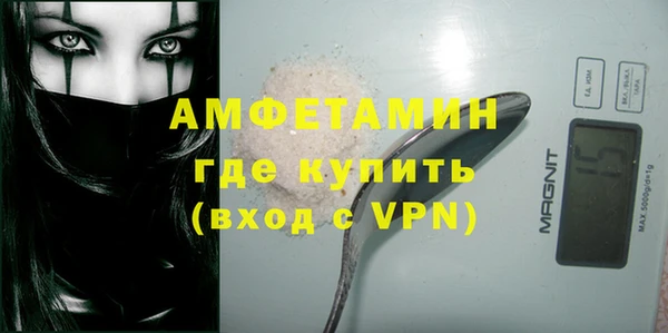 тгк Новозыбков