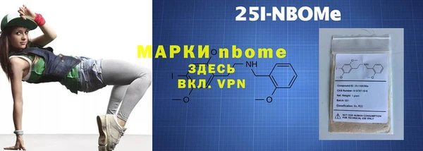 тгк Новозыбков
