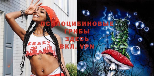 стафф Нефтекумск