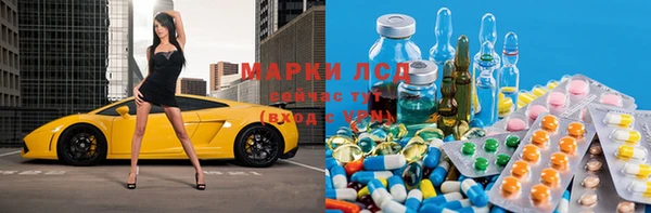 тгк Новозыбков