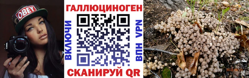 Галлюциногенные грибы прущие грибы  Краснозаводск 